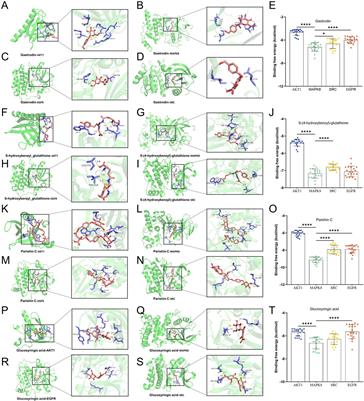 Identifying the quality markers and optimizing the processing of Gastrodiae rhizoma to treat brain diseases